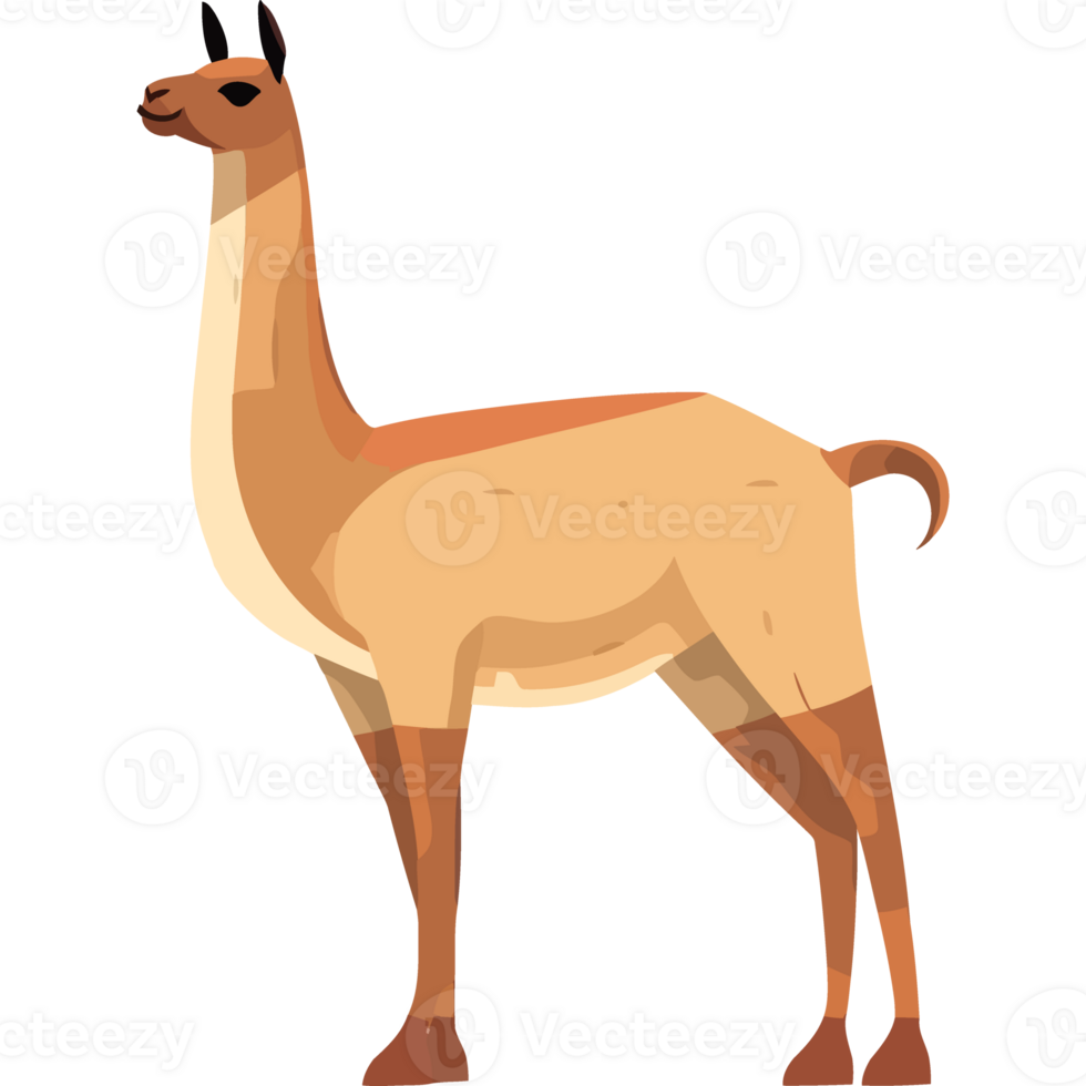 Illustration of a llama standing on a black background png