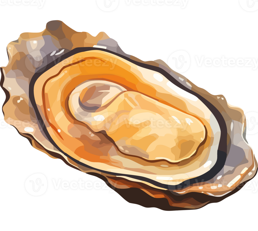 An open oyster on a black background png