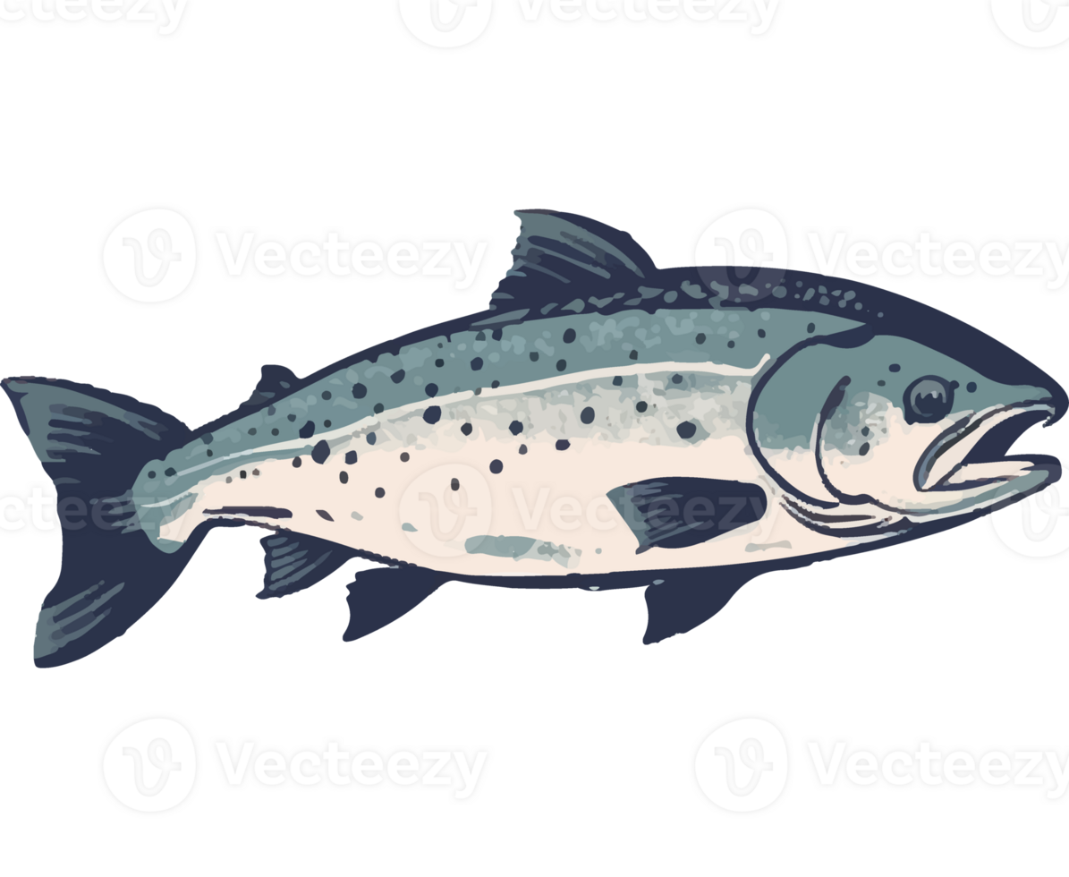 A fish with a black background and white spots png
