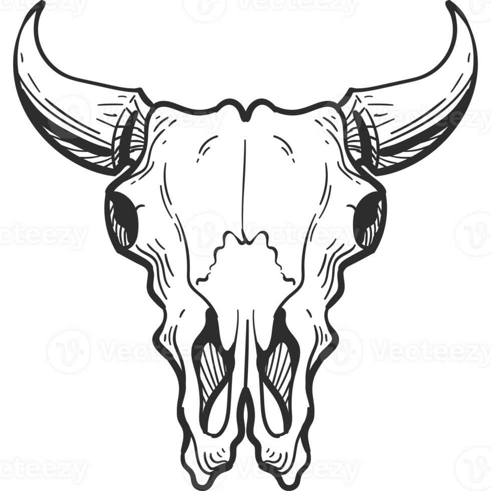 A bull skull with horns on a black background png