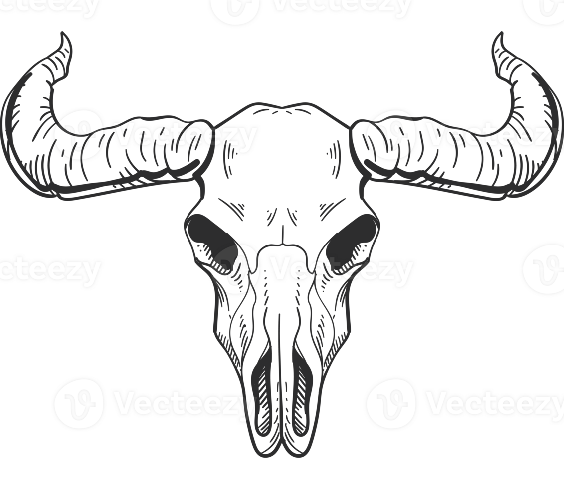 A black and white skull with horns png