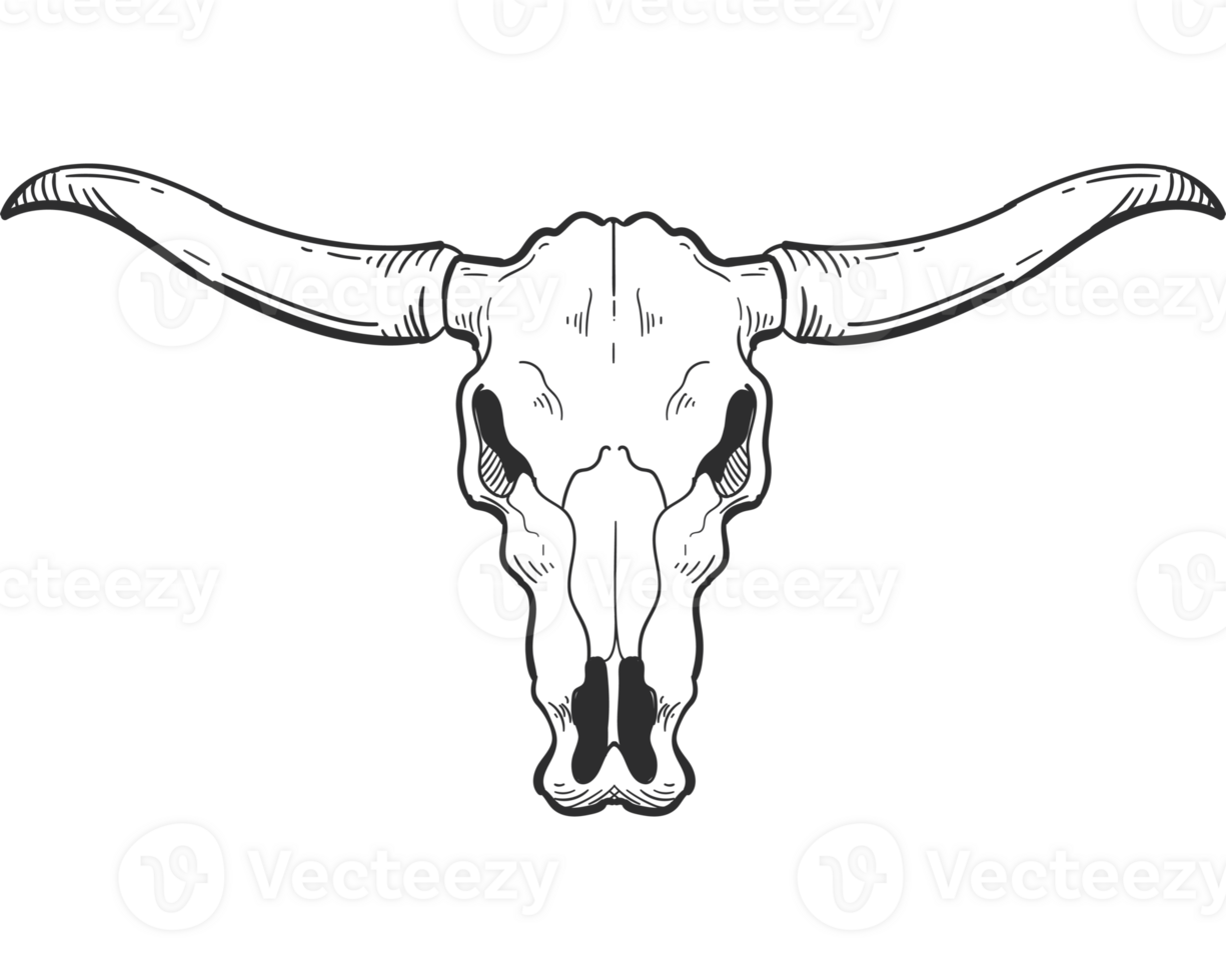A black and white drawing of a longhorn skull png