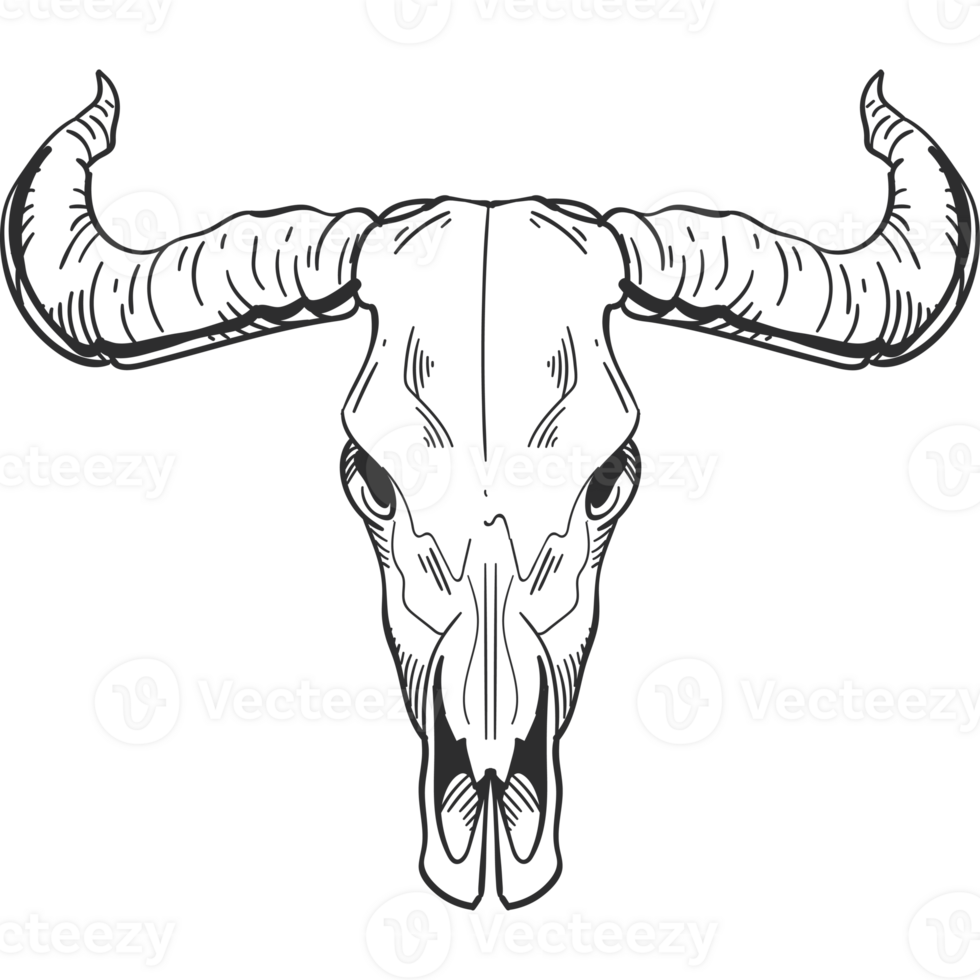 A black and white drawing of a bull skull png