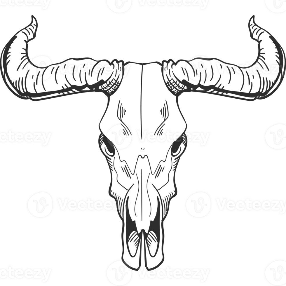 A black and white skull with horns png