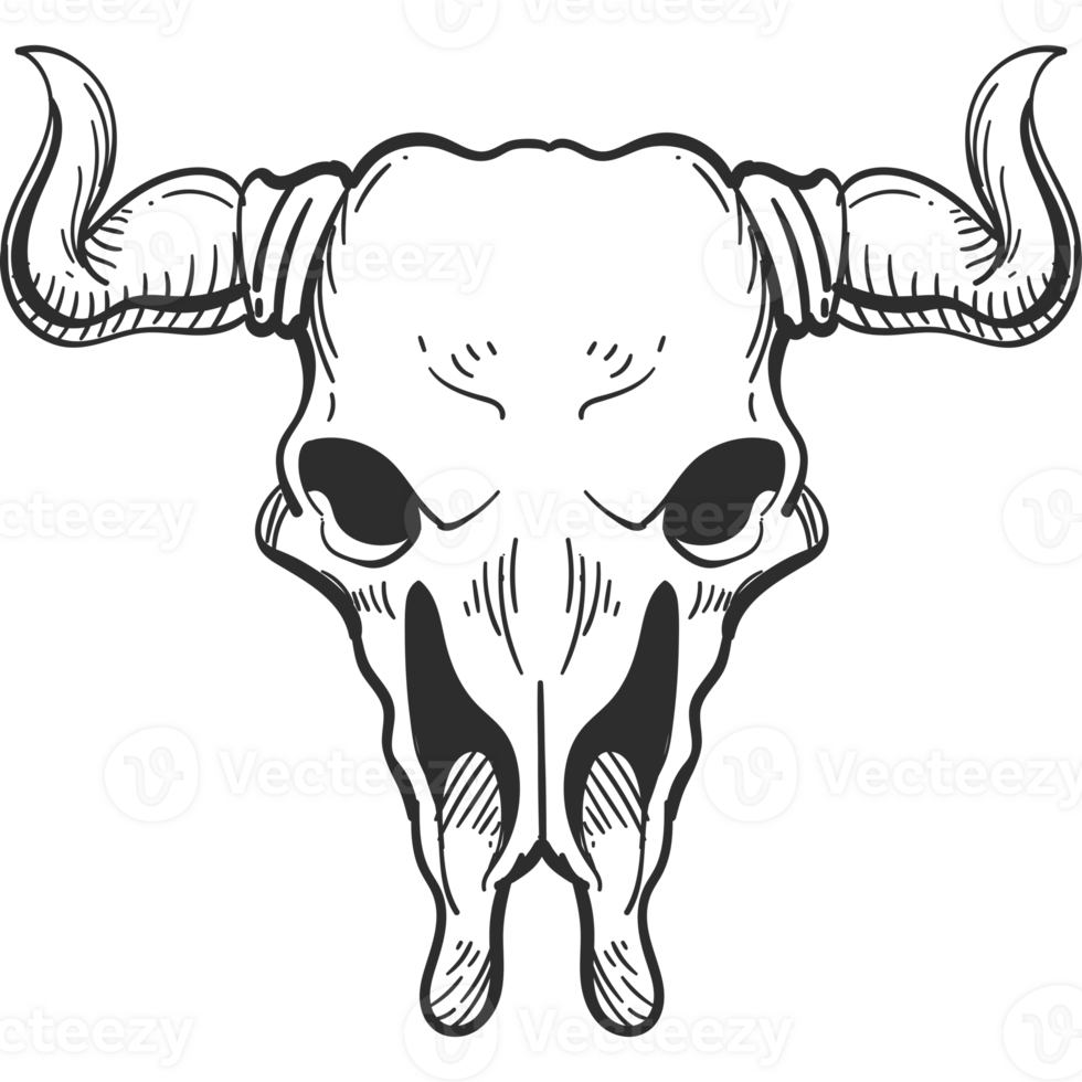 A black and white bull skull with horns png