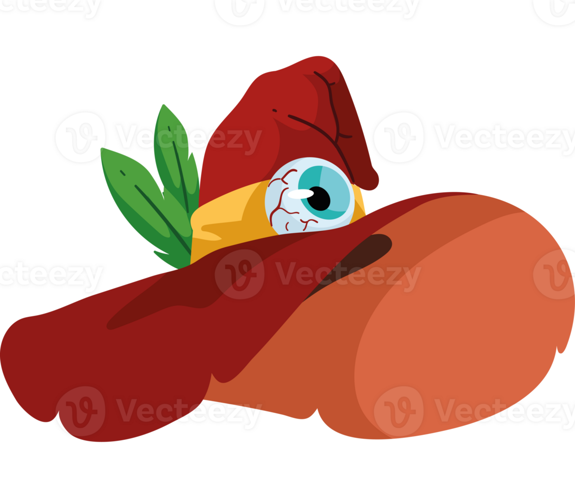A cartoon hat with an eye on it png