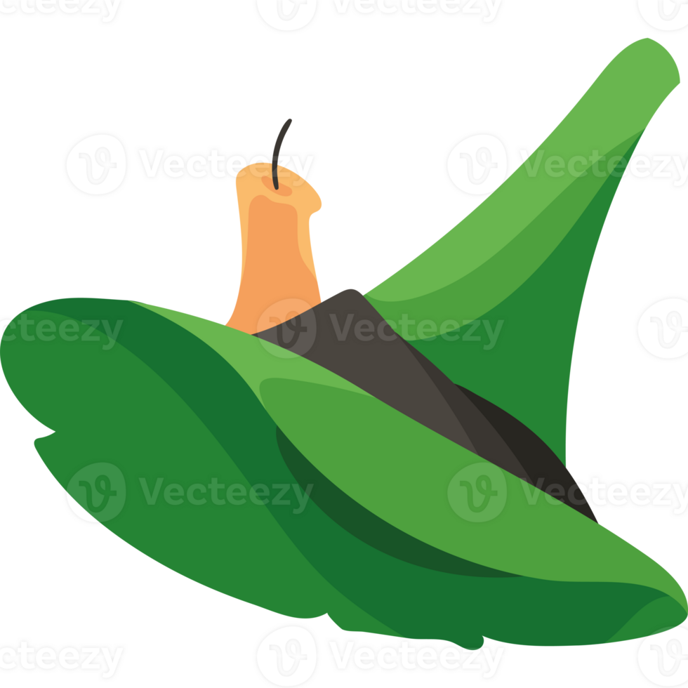 A green witch hat with a candle in it png