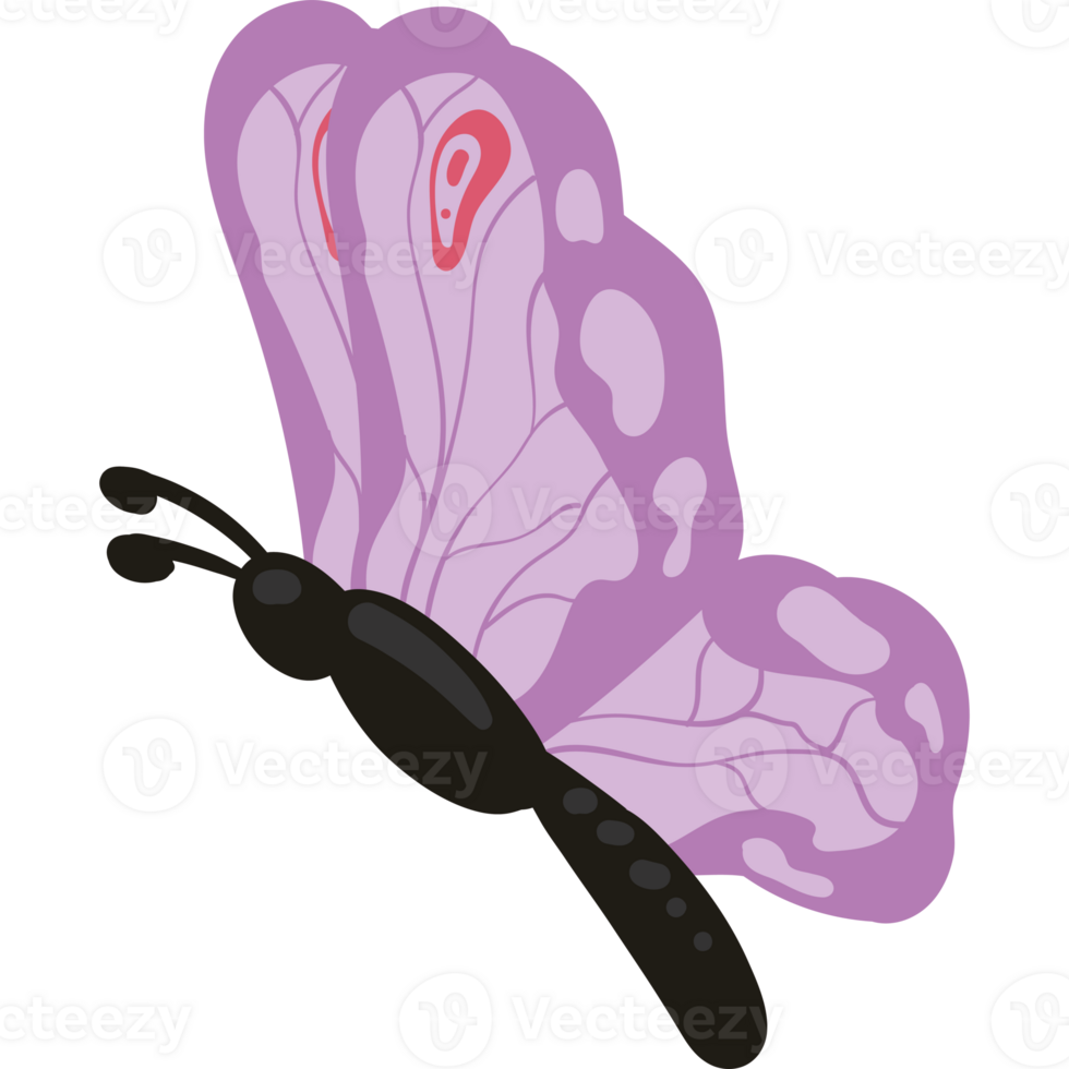A purple butterfly with black wings and a black body png