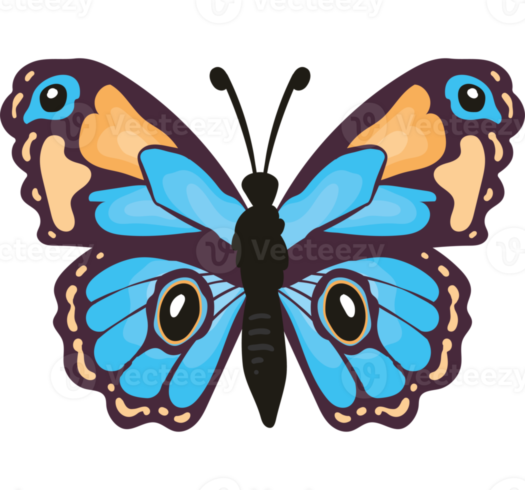 A blue and orange butterfly with black wings png
