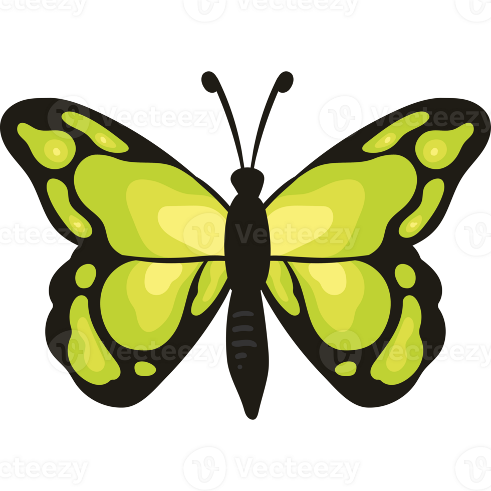 A green butterfly with black wings png