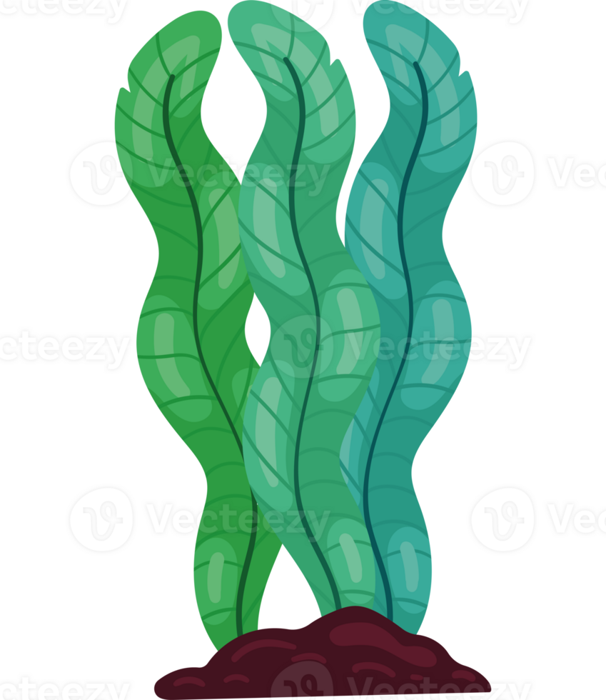 An illustration of a green plant with two leaves png