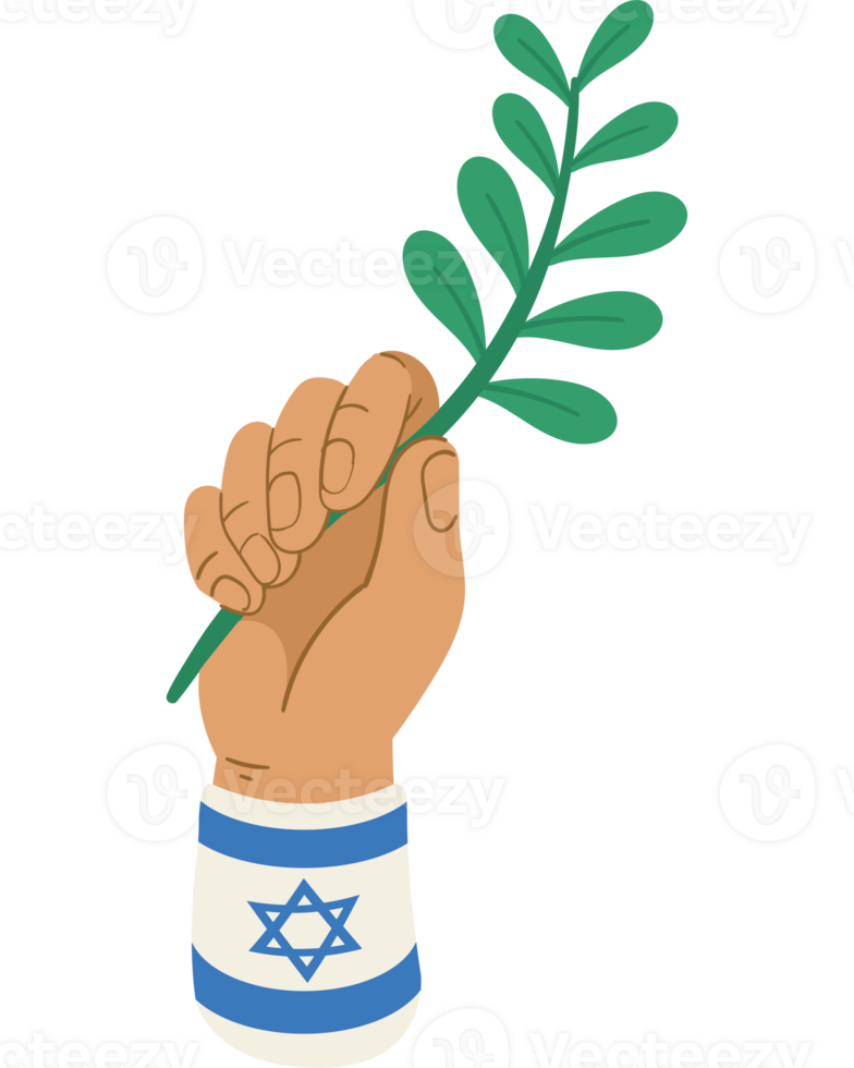 Hand holding an israeli flag and a green plant png