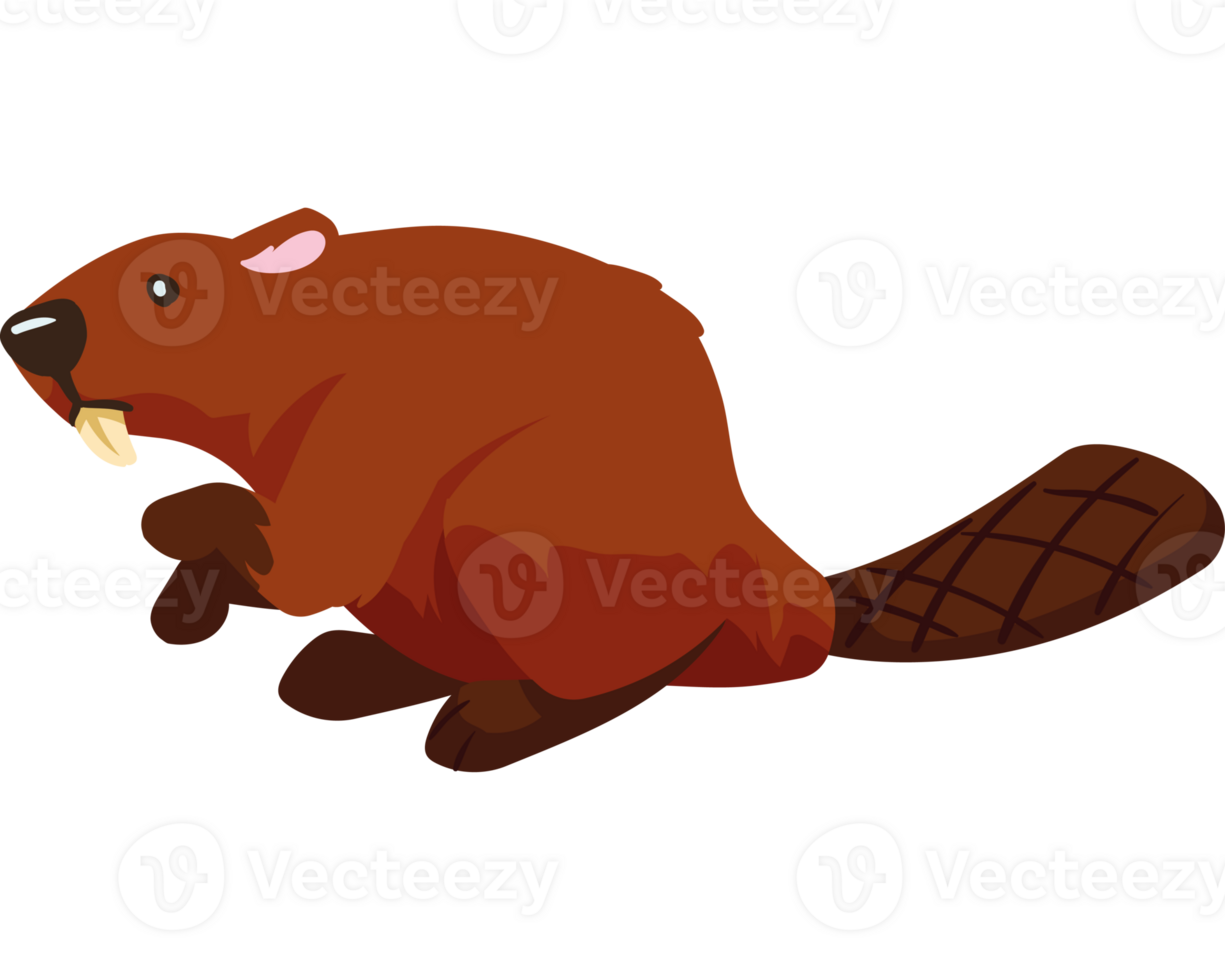 A cartoon beaver with its mouth open png