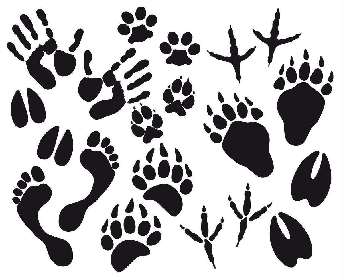 Traces of animals and human on a white background vector