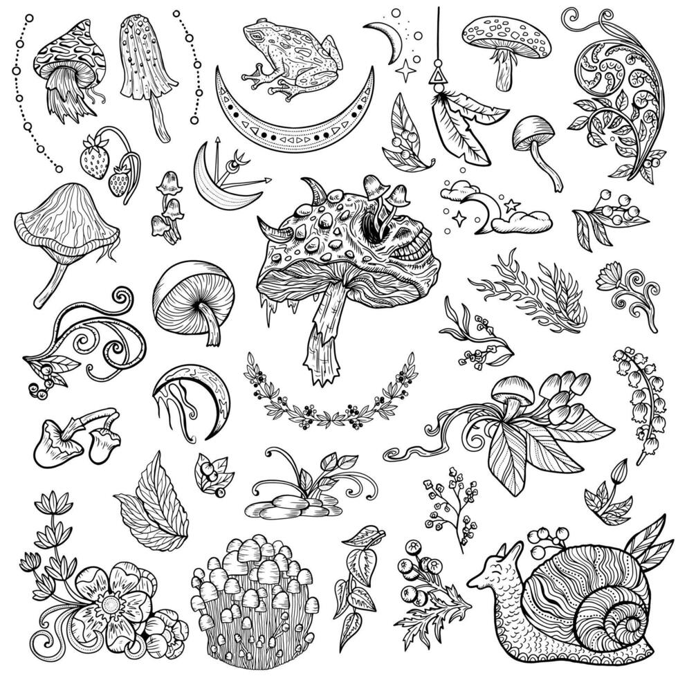 Design set with mystic mushrooms, frog, snail, magic and floral decorative doodle elements. Esoteric and witchy forest concept, line art illustrations vector