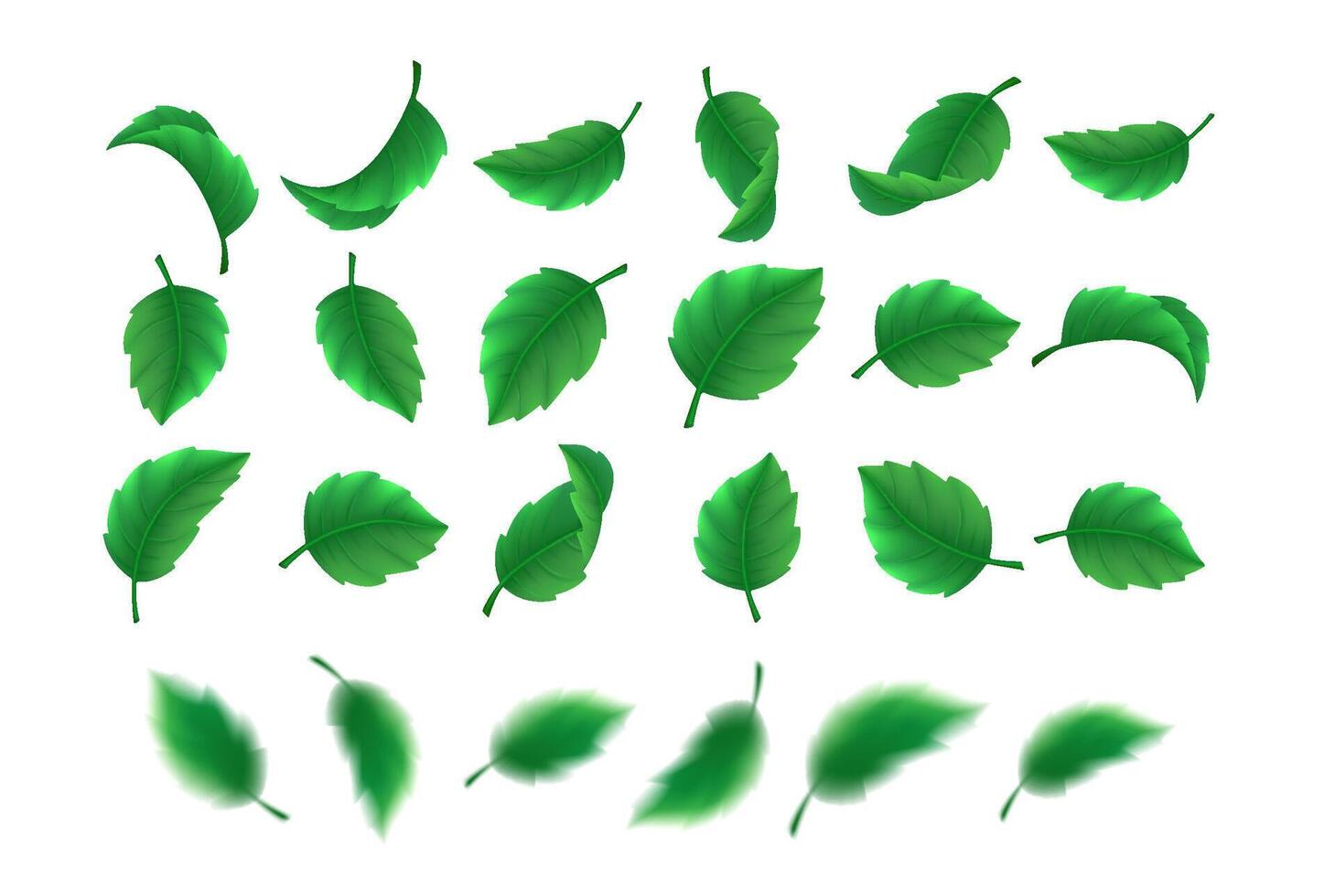 Green plant leaves realistic illustration collection. Fresh foliage variation for design. Natural 3d elements rows on white background vector