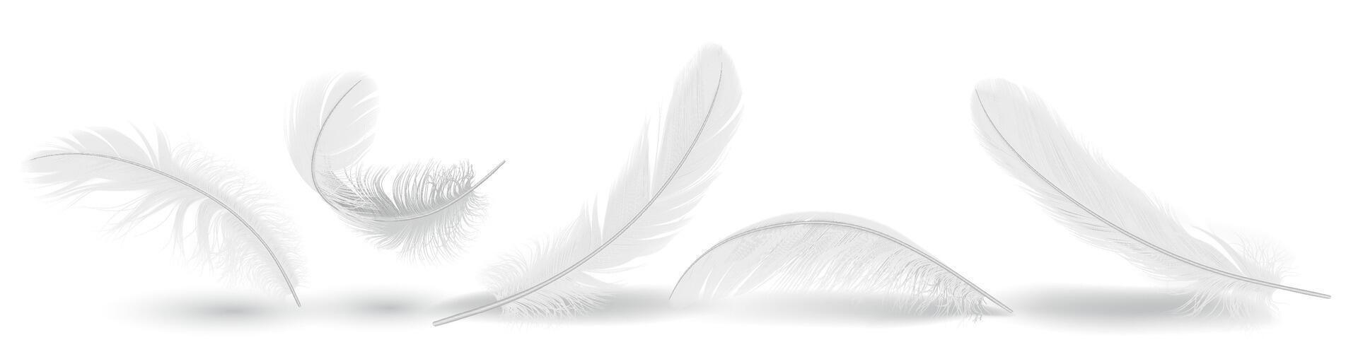 Bird feather shapes group realistic illustration set. Flying plumage with messy texture. Fluffy white quills 3d elements on white background vector