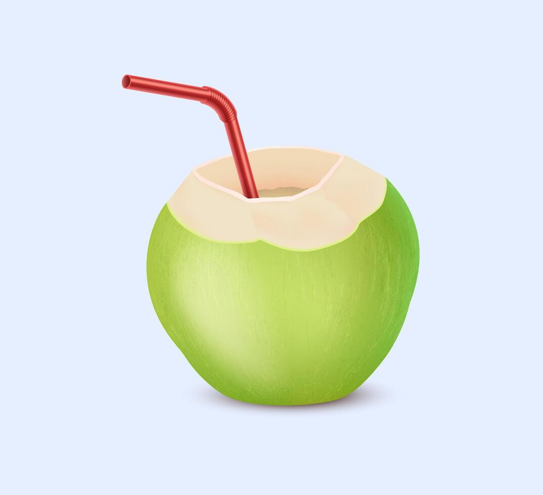Green coconut with straw realistic illustration. Exotic refreshing drink. Nut shell with fresh milk 3d object on light background vector