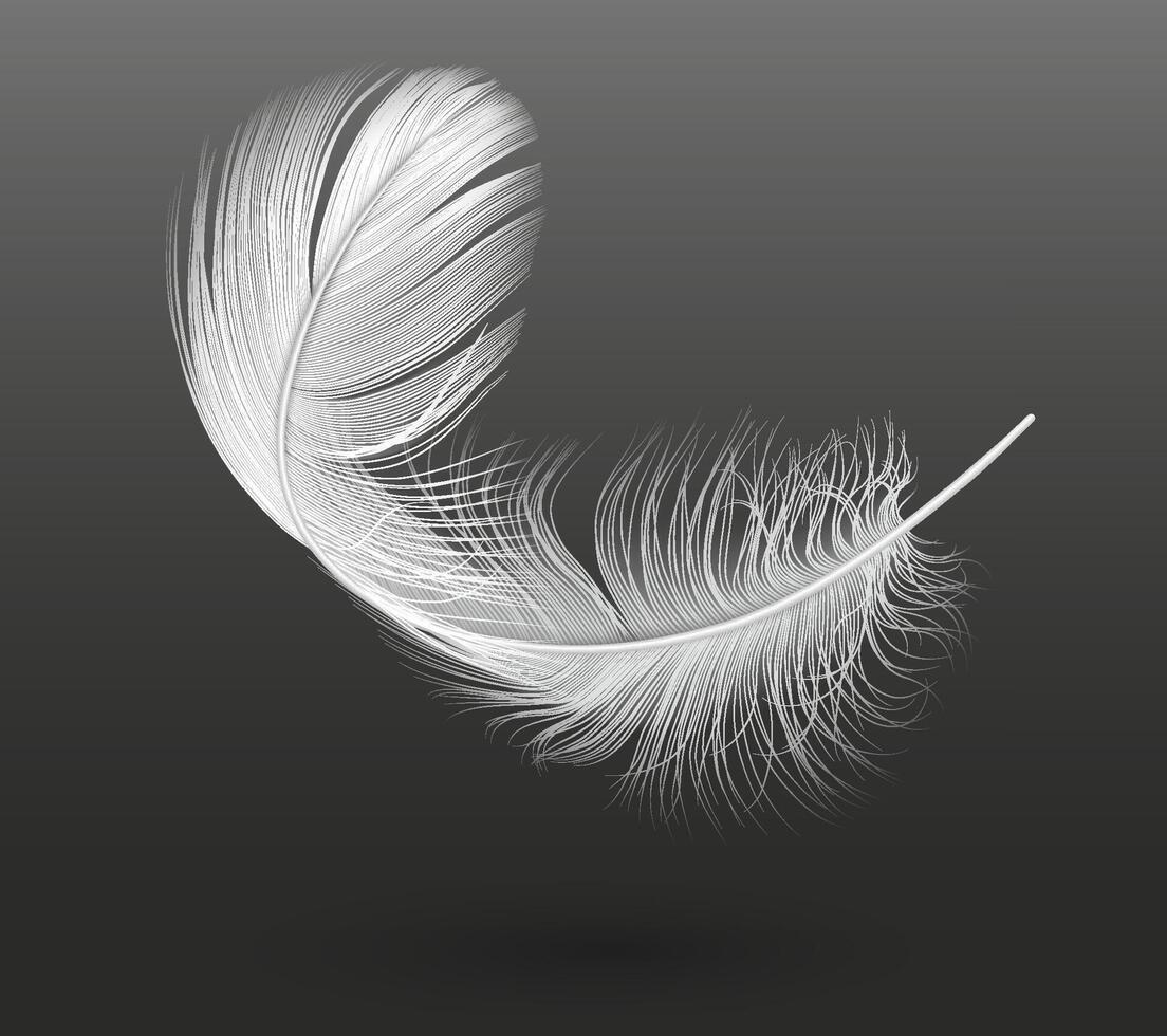 Flying white single feather realistic illustration on black background. Gentle floating quill 3d design element. Curved bird plumage part image vector