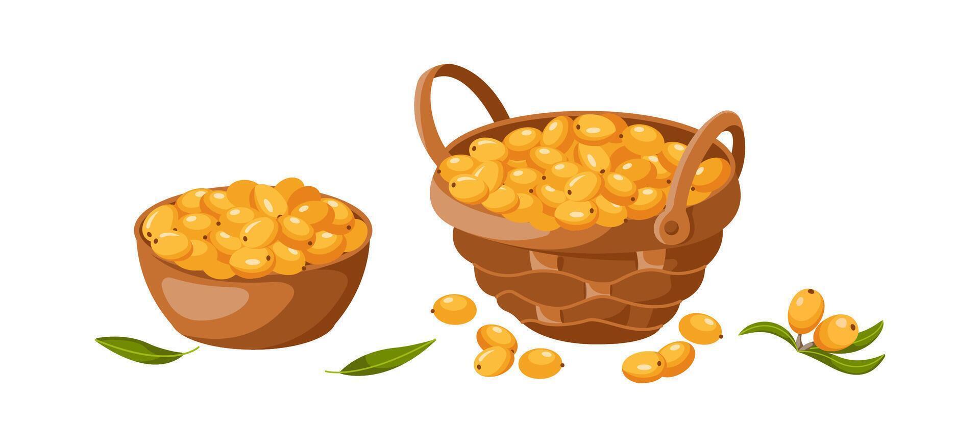 Sea buckthorn berries harvest 2D cartoon objects set. Bowl and basket with organic food flat line icons on white background vector