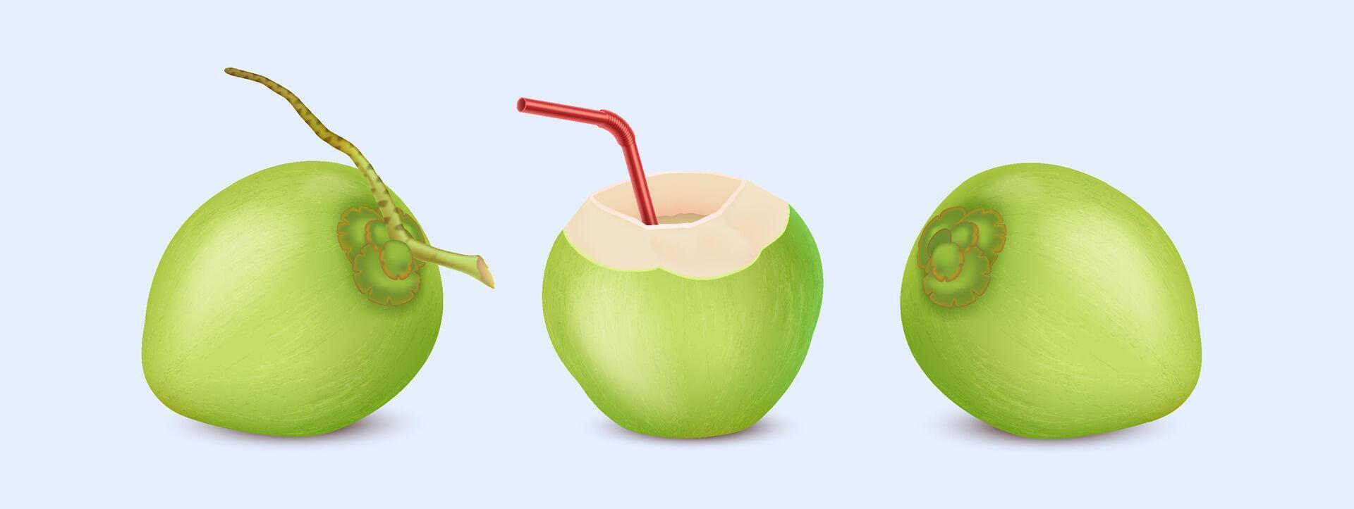 Exotic coconut fruits and drink with straw realistic illustration set. Vegan tropical dessert. Delicious food and beverage 3d objects bundle vector