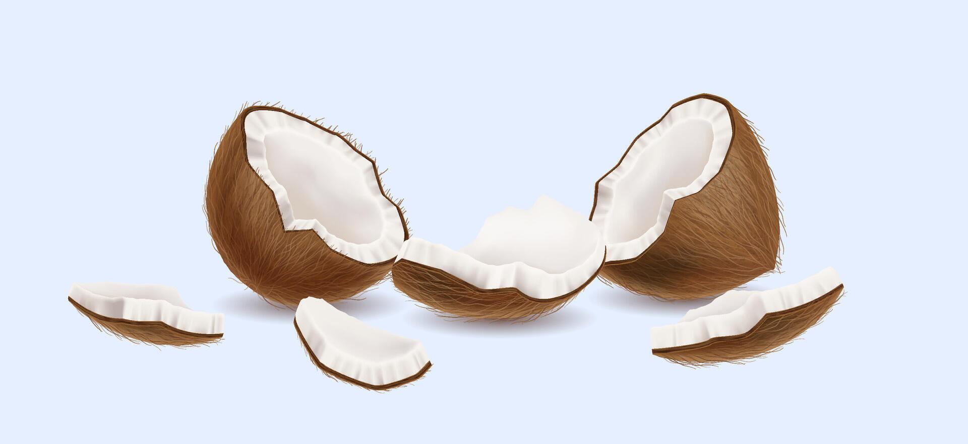 Cracked coconut with sweet pulp realistic illustration. Vegan dessert. Tasty exotic nut halves and pieces 3d object on light background vector