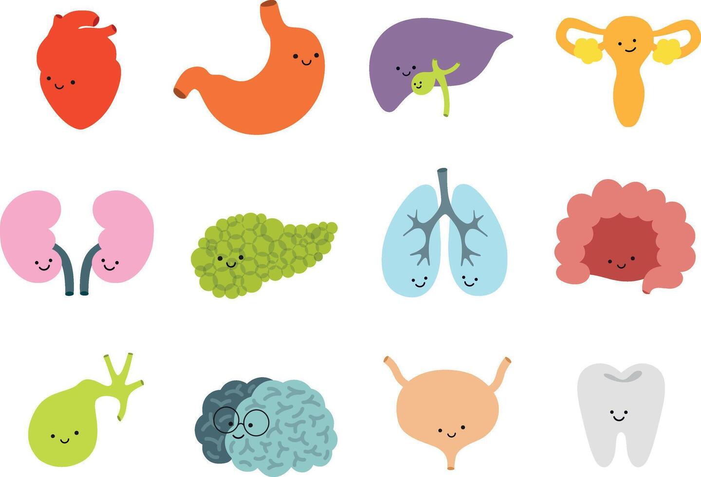 Human internal organs set of happy heart, stomach, liver, uterus, kidneys, pancreas, lungs, intestines, gallbladder, brain, bladder, tooth drawing on light background vector