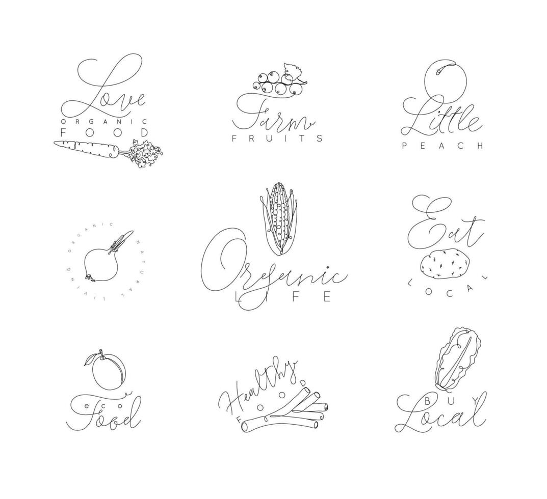 Vegetables and fruits symbols with lettering in pen hand drawing lines style on white background vector