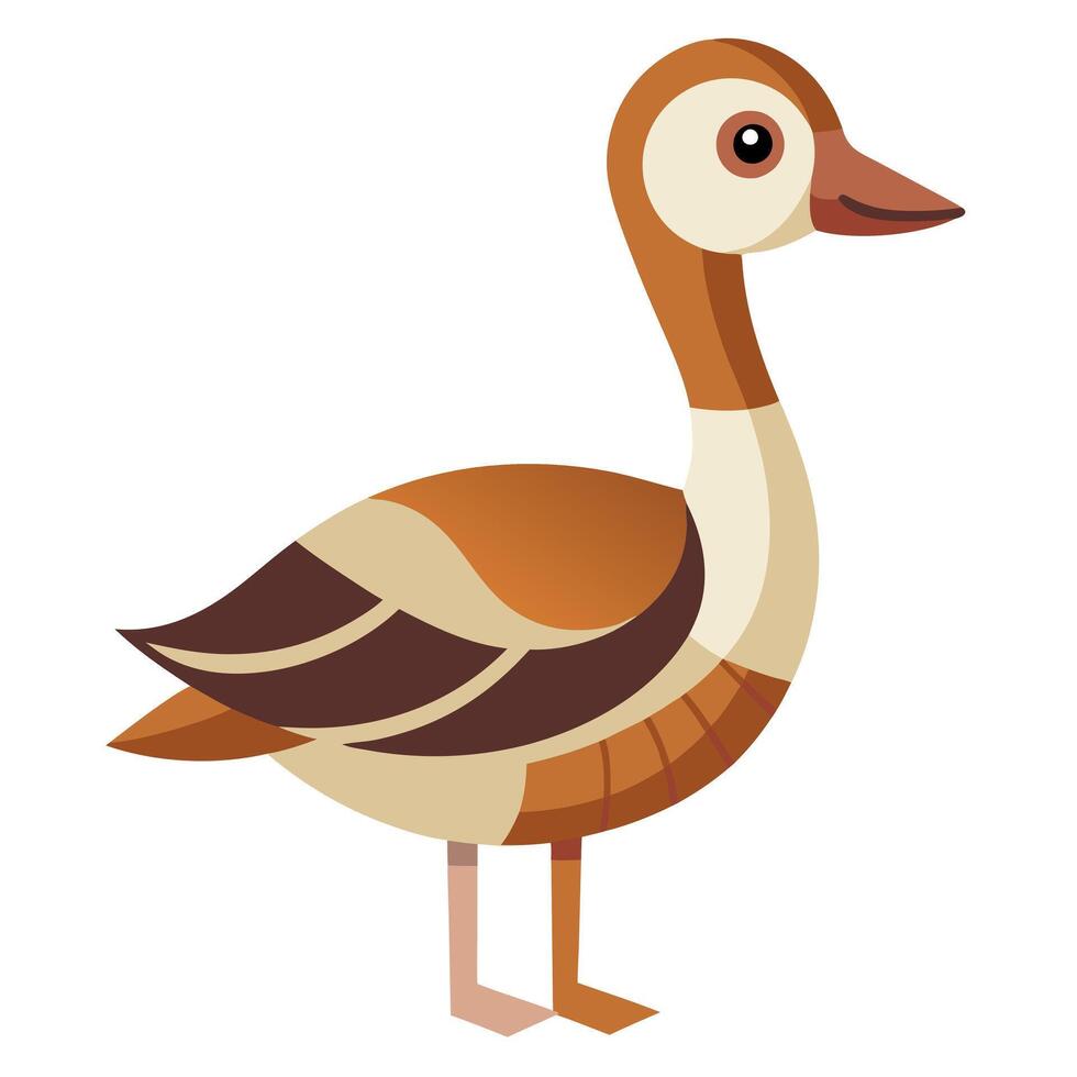 Egyptian Goose learns kawaii vector