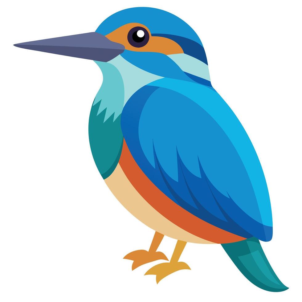 Eider bird looks kawaii vector