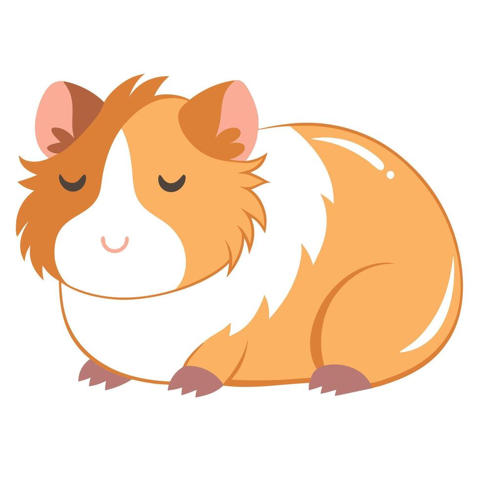 English Crested Guinea Pig sleeps kawaii vector
