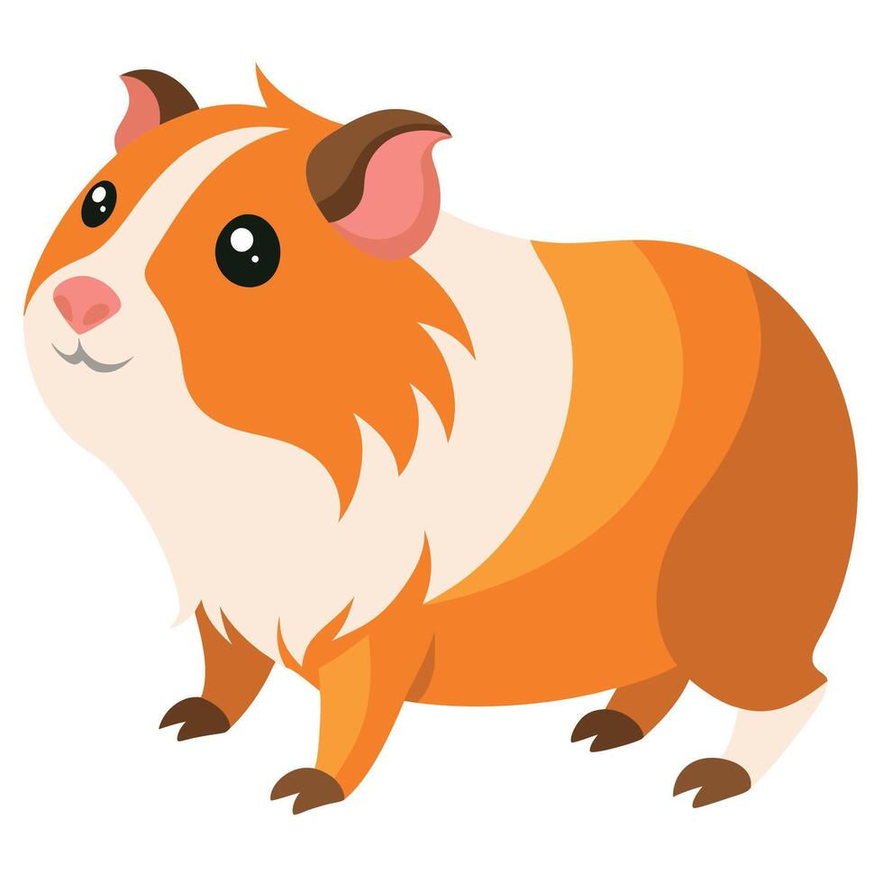 English Crested Guinea Pig walks kawaii vector