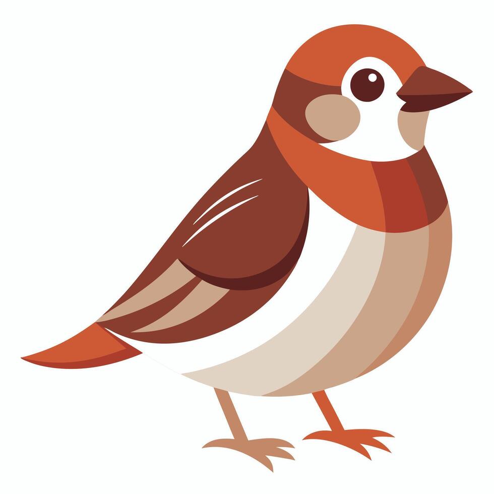 English Sparrow bird stands kawaii vector