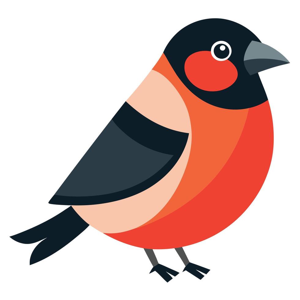 Eurasian Bullfinch bird learns kawaii vector