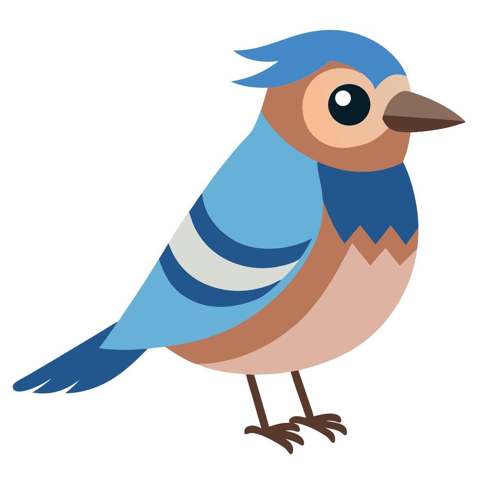 Eurasian Jay bird looks kawaii vector
