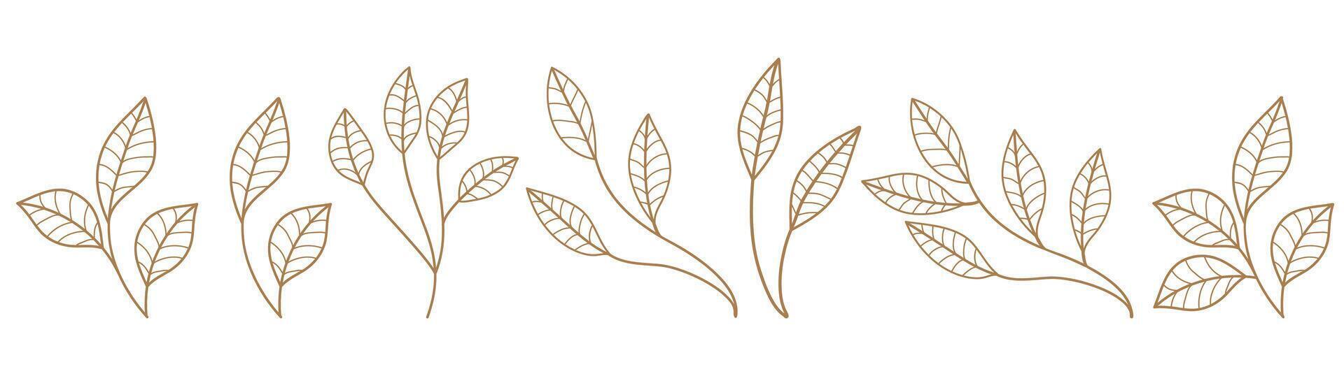 Set monochrome simple leaves botanical branches with stem and foliage vector