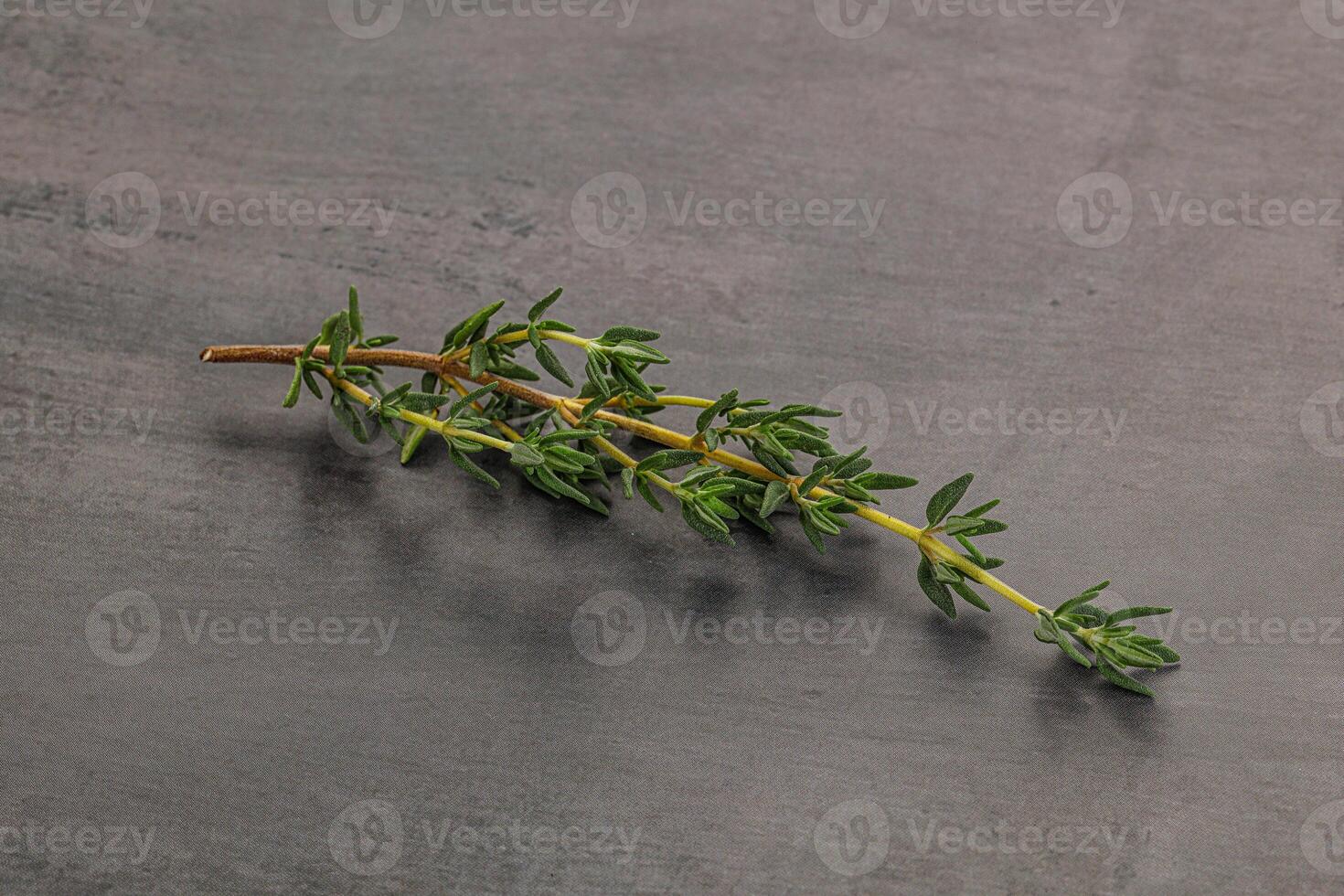 Aroma seasoning thyme stem with leaves photo