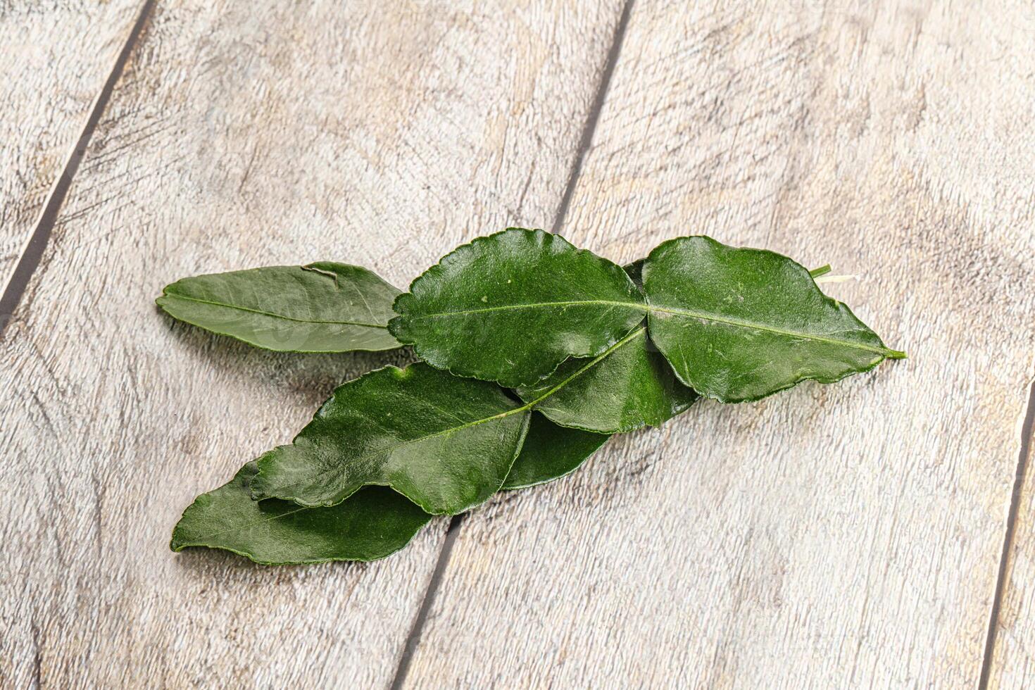 Aroma seasoning kaffir lime leaves photo