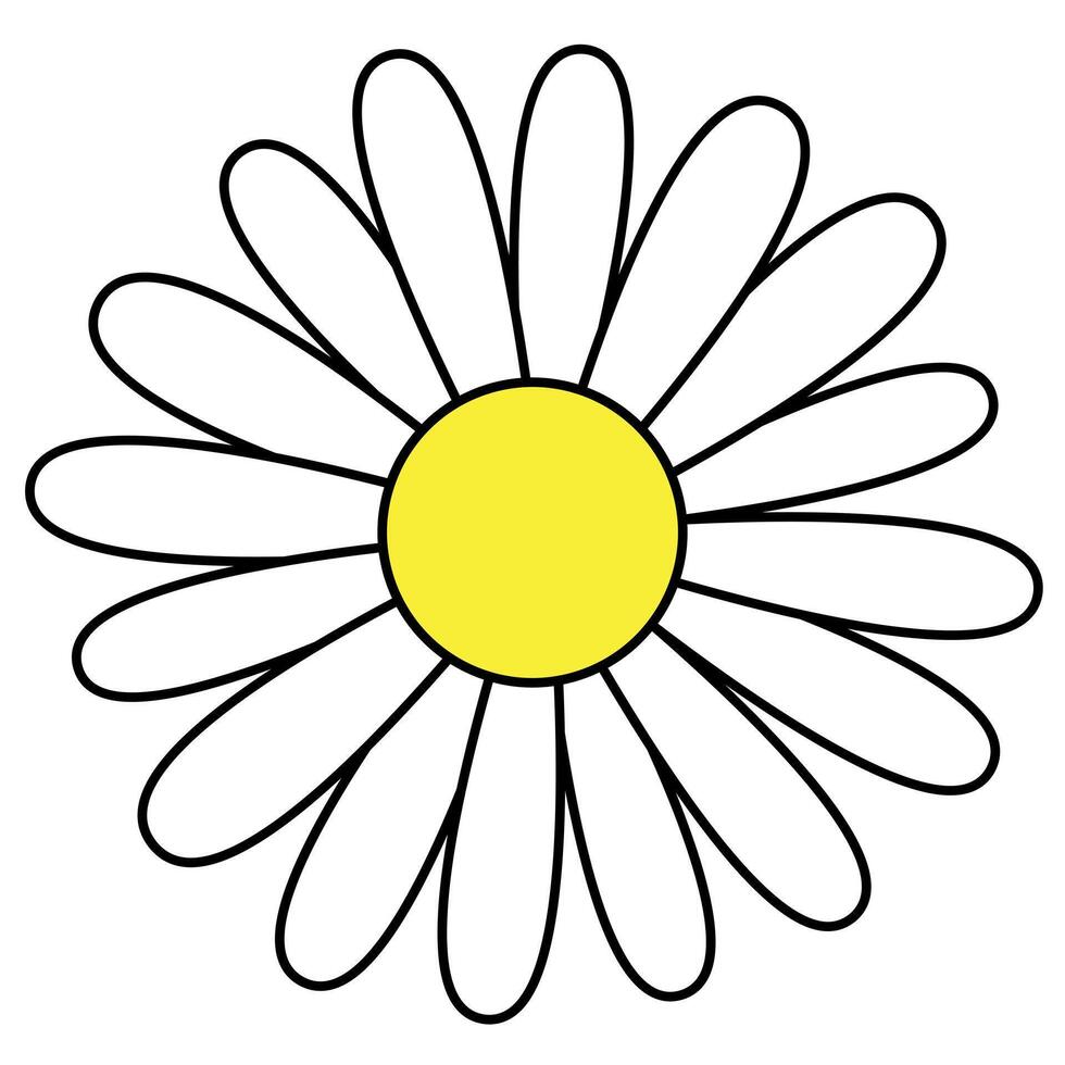 daisy flower head, simple color illustration of one yellow bloom with white petals isolated on white background vector