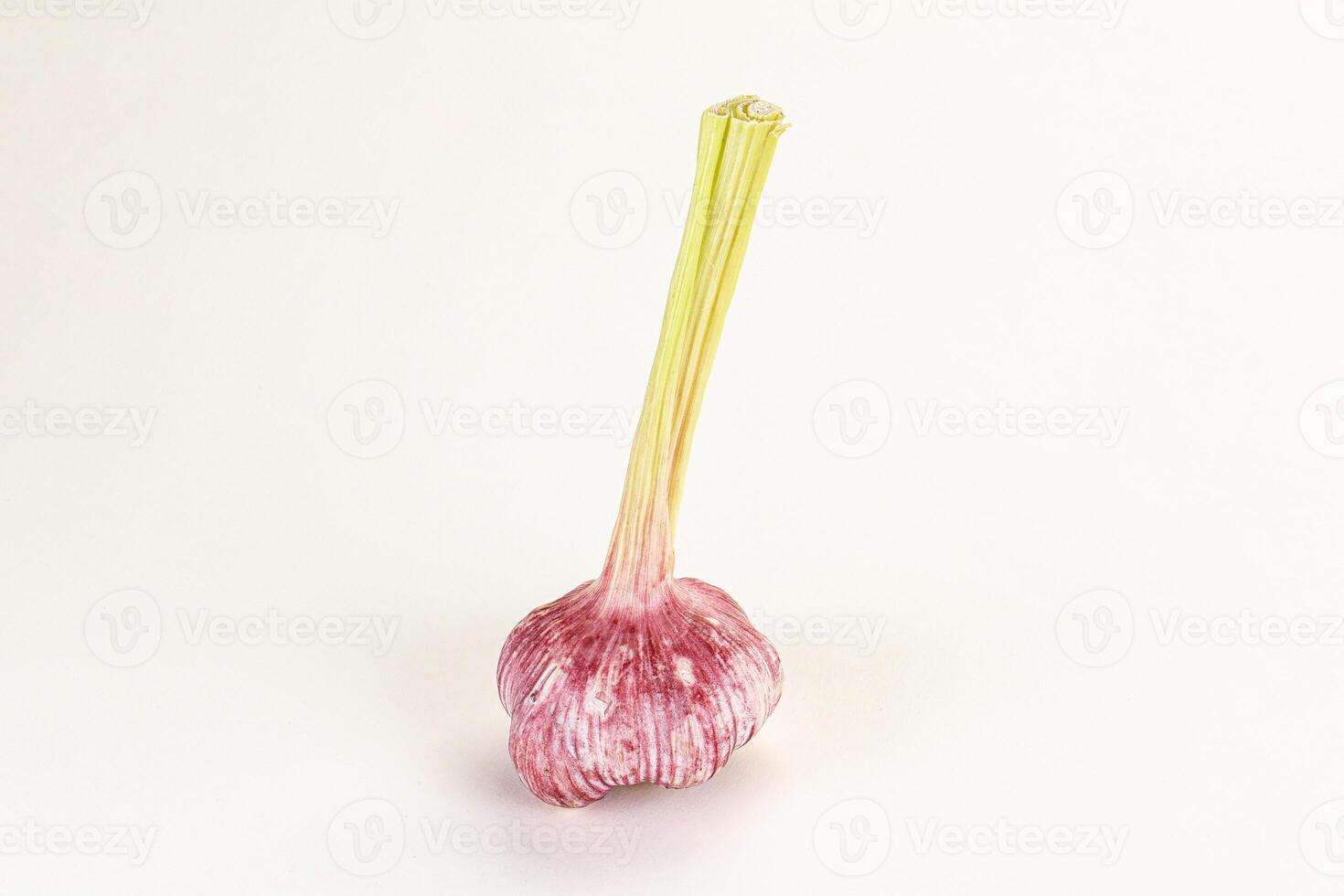Young fresh garlic for cooking photo