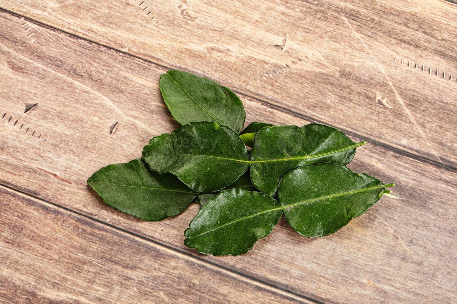 Aroma seasoning kaffir lime leaves photo