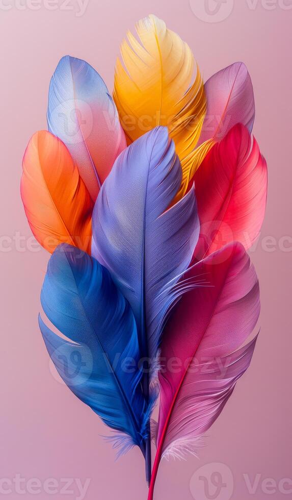 Colorful Feathers Arranged on Soft Pink Background photo