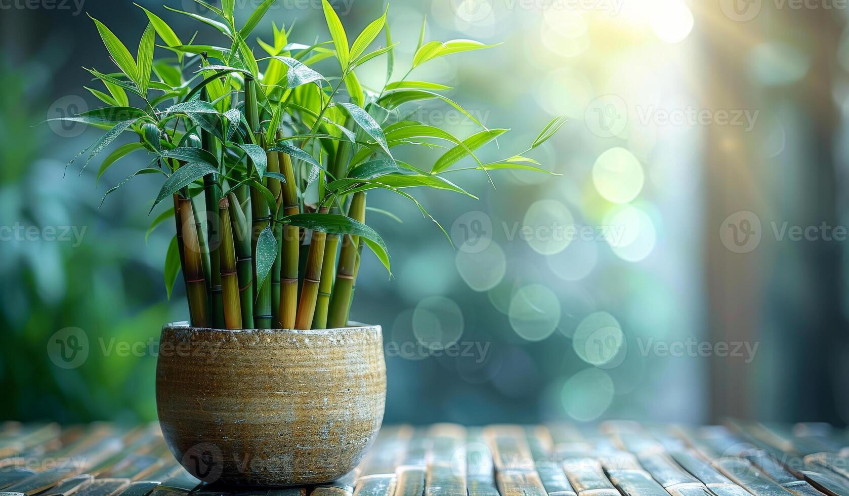 A potted plant with bamboo stems sits on a wooden table photo