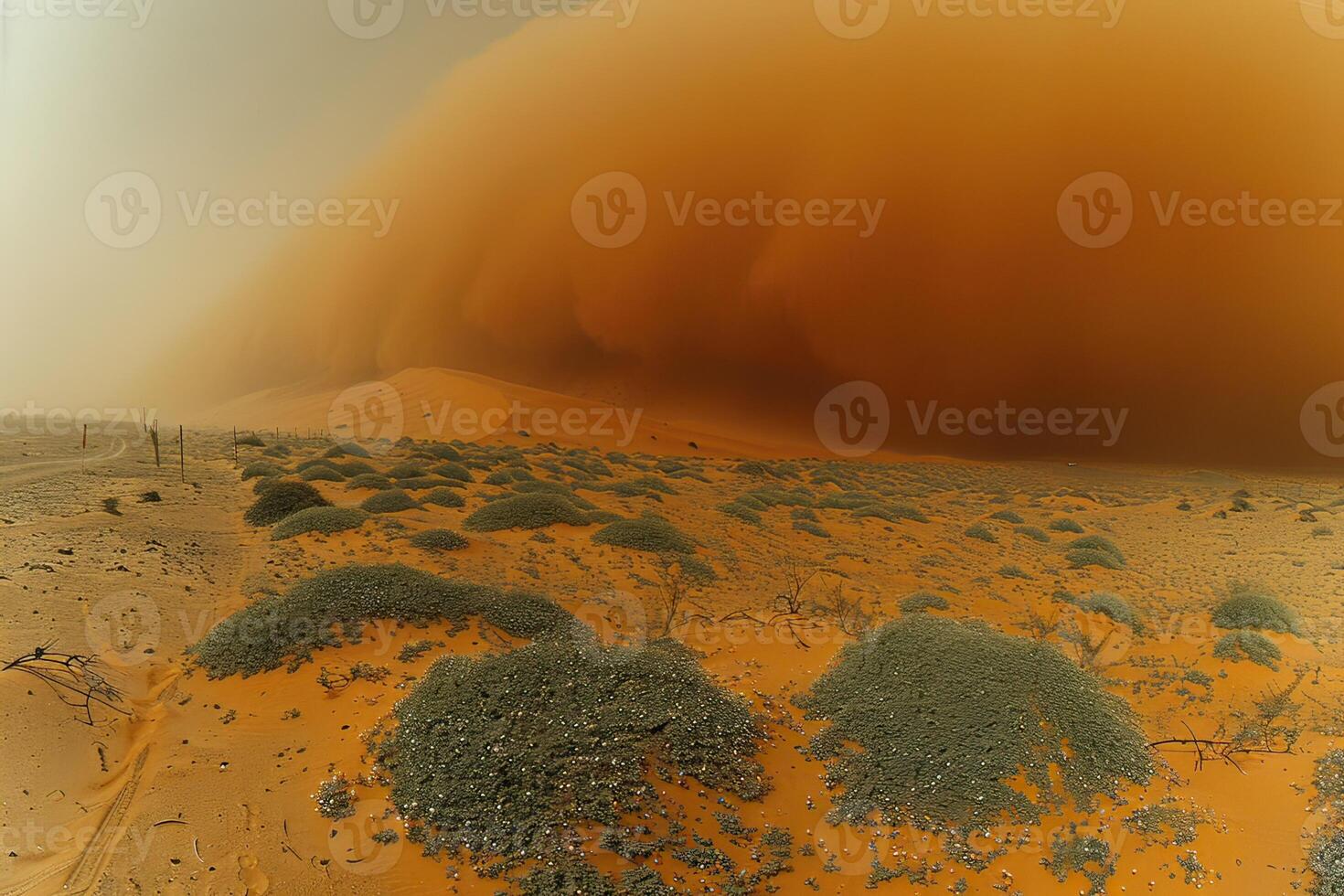 A vast desert landscape displaying a prominent sand dune in the background photo