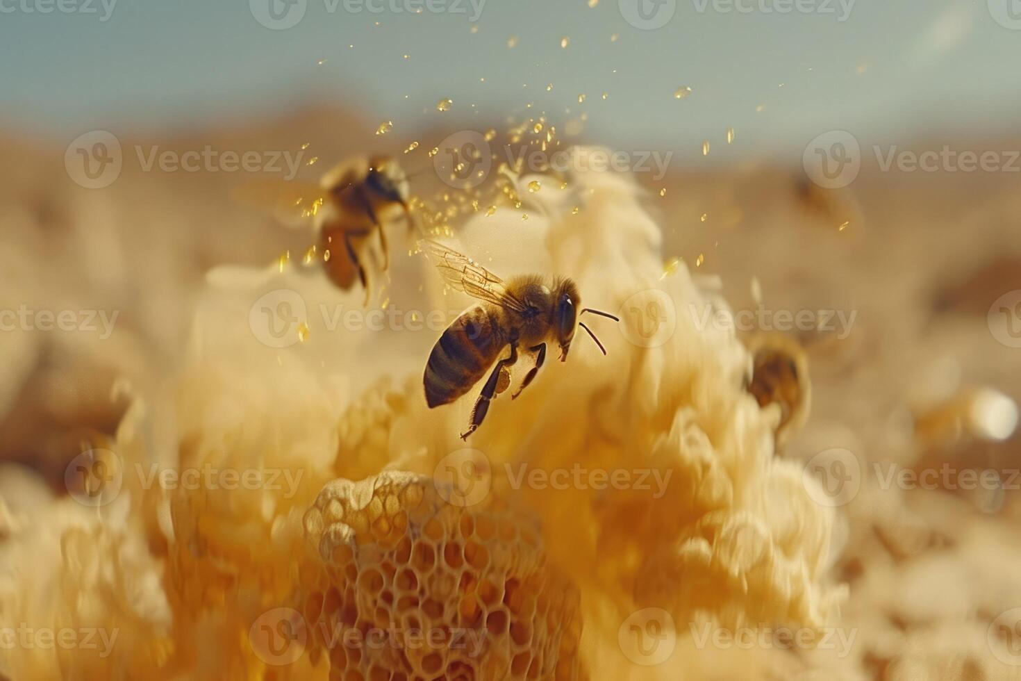 This image features a detailed closeup of a bee on a honeycomb photo