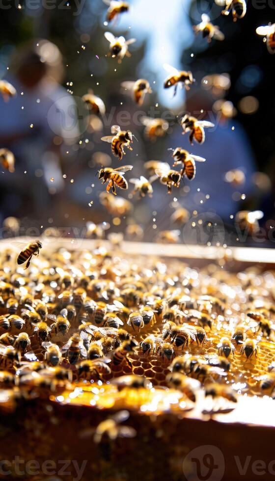 A large group of bees is happily buzzing around a honeycomb structure photo