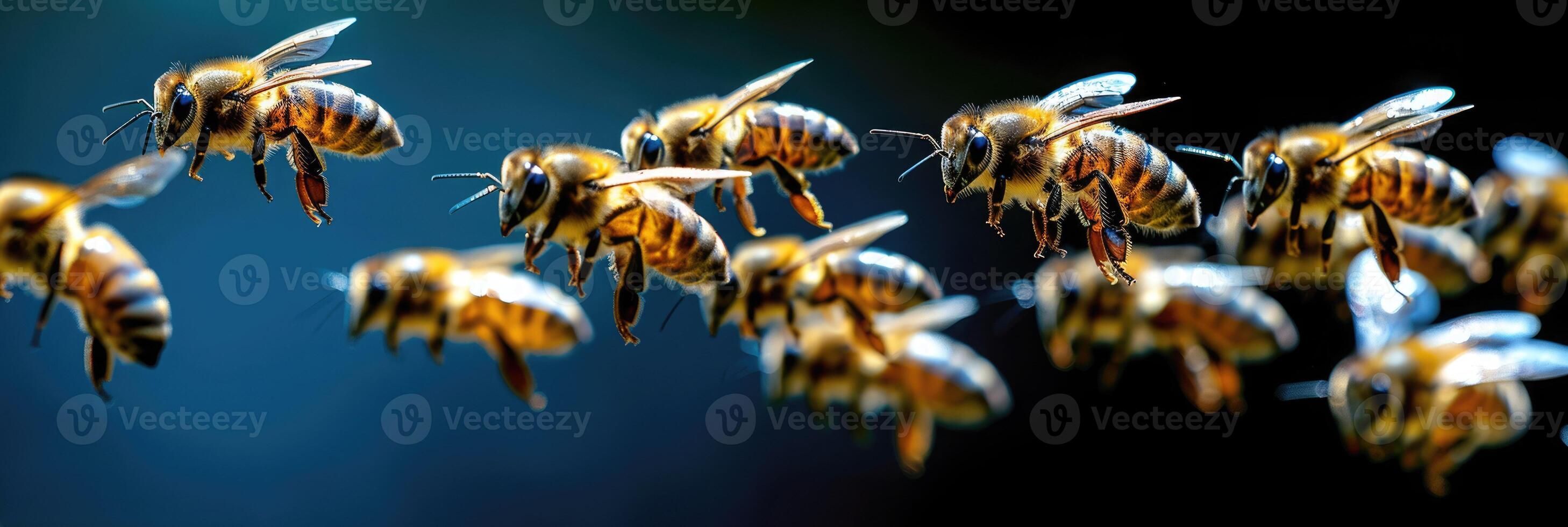 A large group of bees is flying together in a perfectly straight row photo