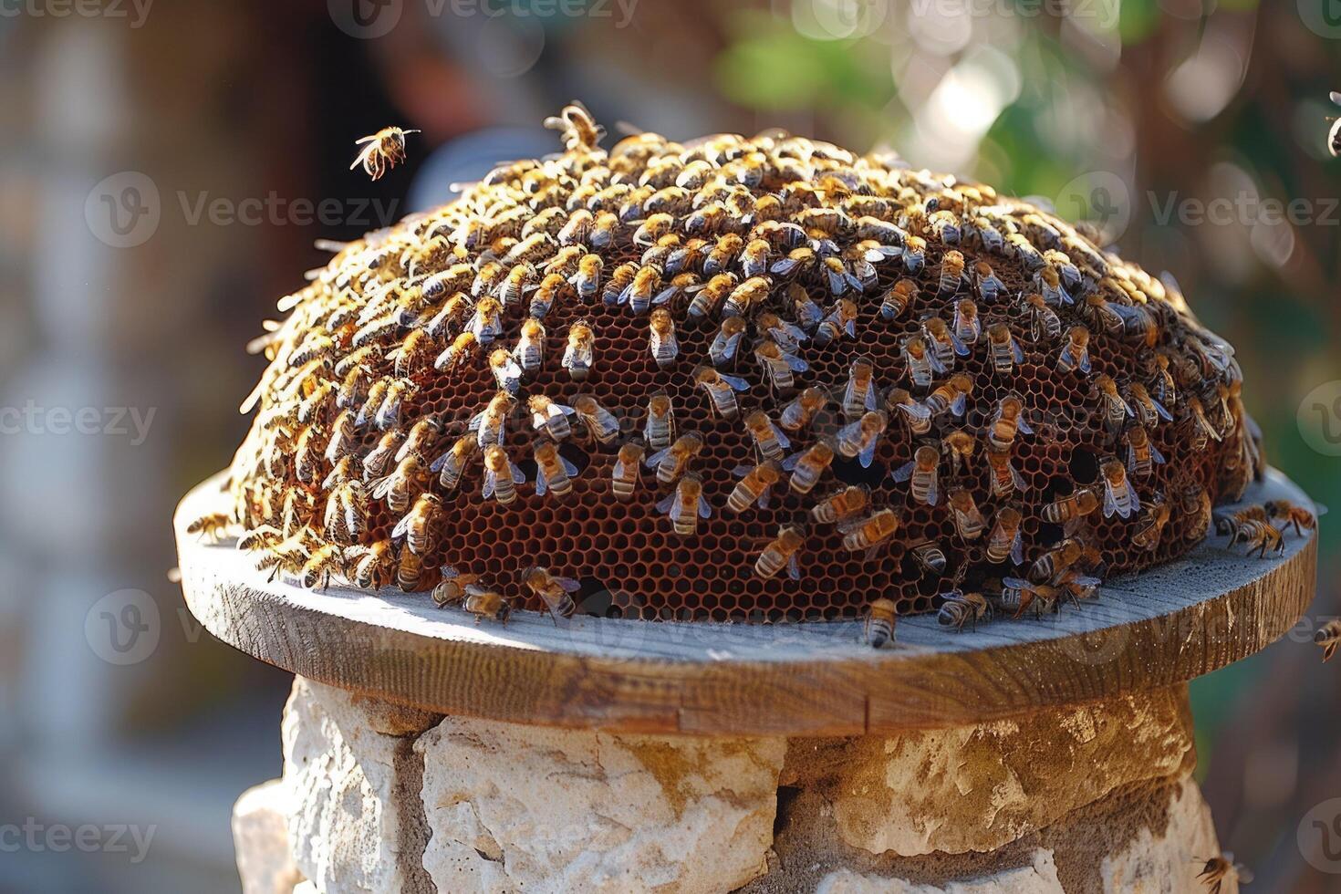 A large group of busy bees has gathered on a wooden table surface photo