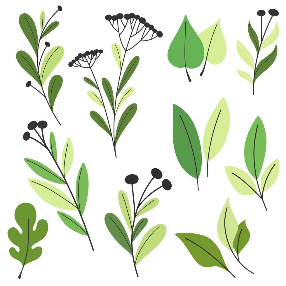 Collection of decorative twigs and leaves, isolates in flat style. vector