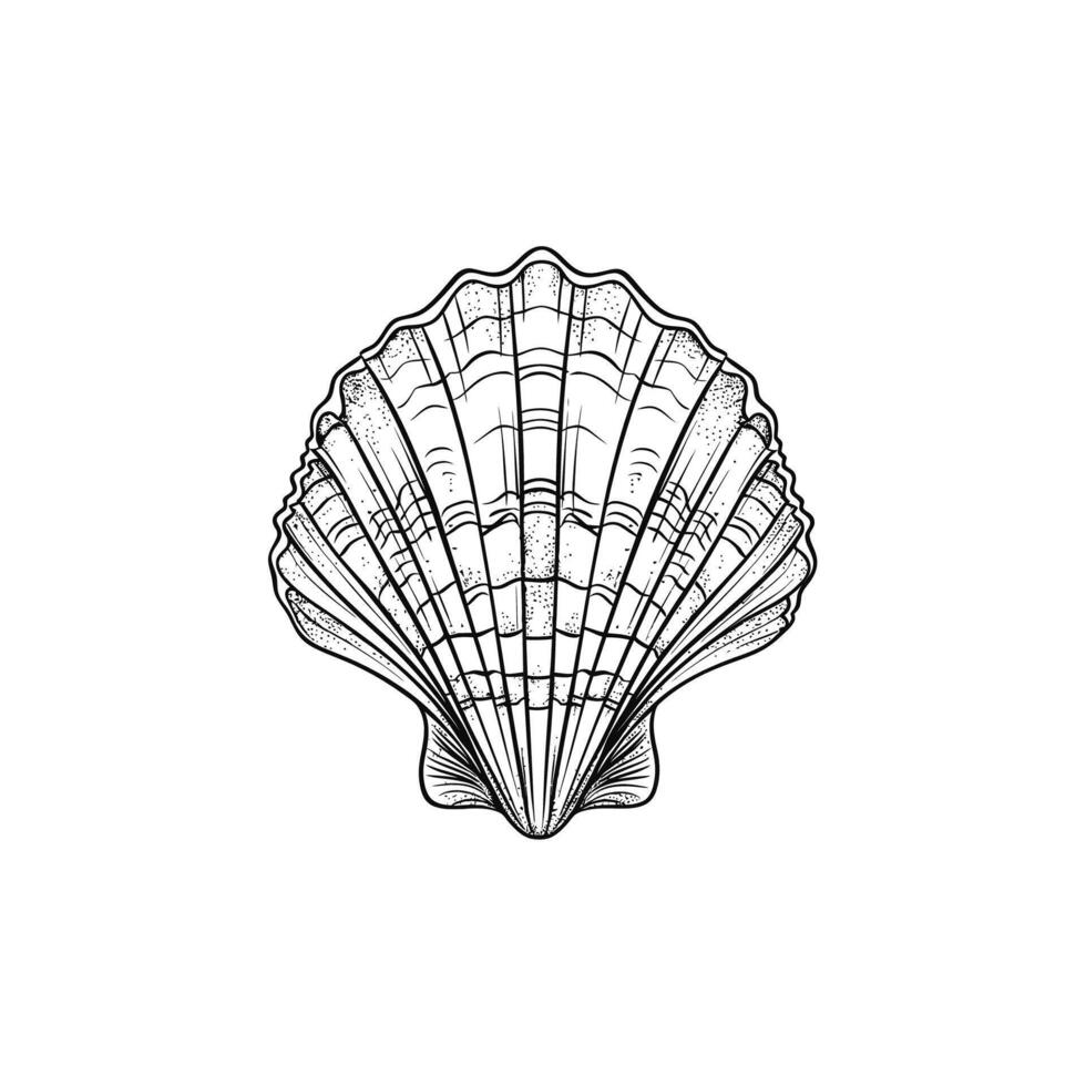 Intricate Seashell Illustration in Black and White. icon design. vector